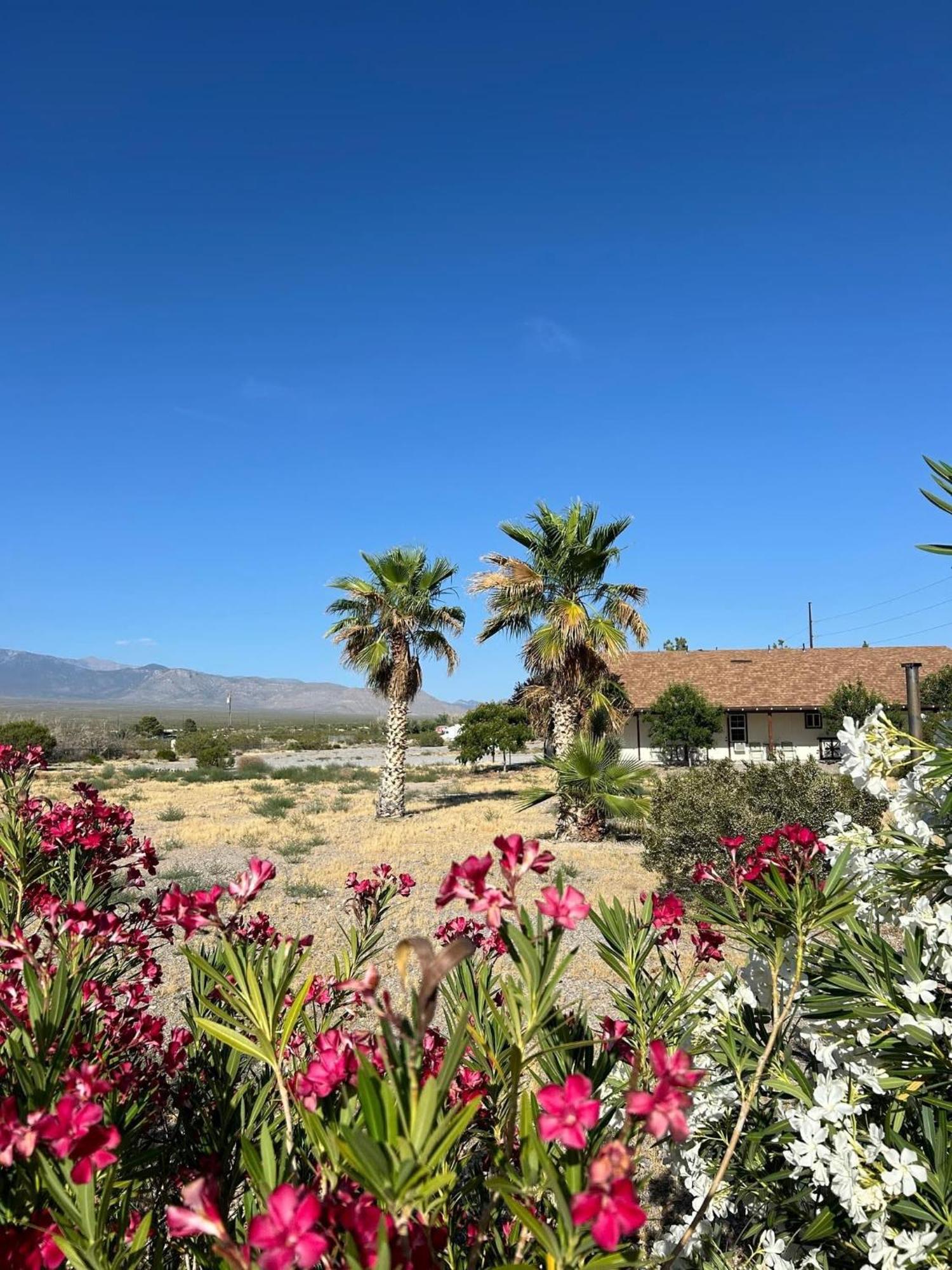 K7 Bed And Breakfast Pahrump Exterior foto